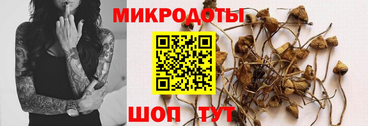 Галлюциногенные грибы Magic Shrooms Полысаево